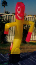 air dancers - many types, sizes and colors available.