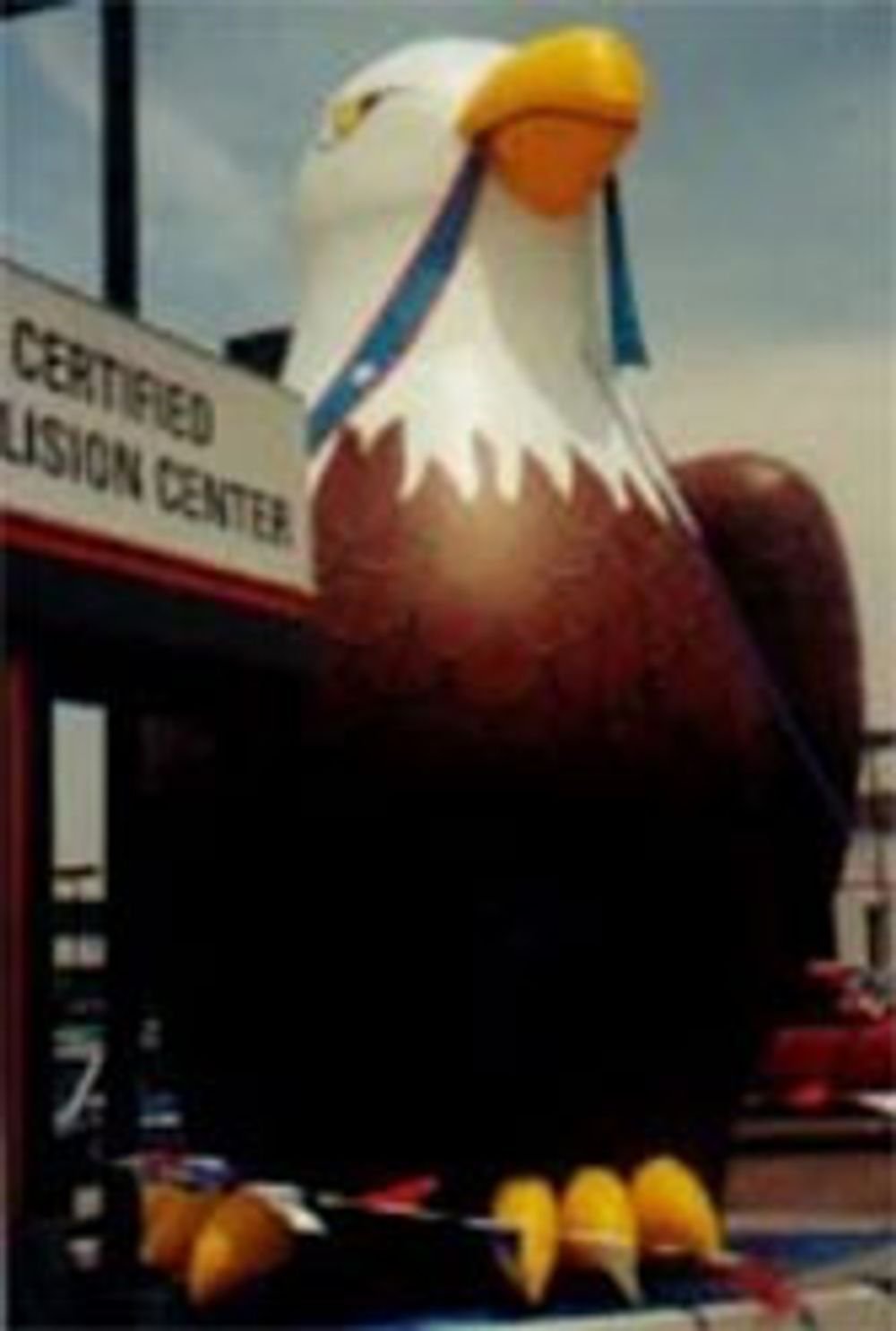25 ft bald eagle cold-air advertising inflatable for car dealerships and events