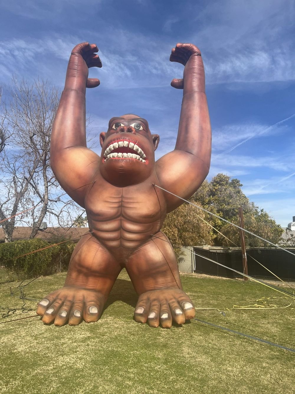 25 ft giant gorilla cold-air inflatable kept inflated by an electric fan